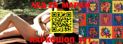 дмт Краснодар