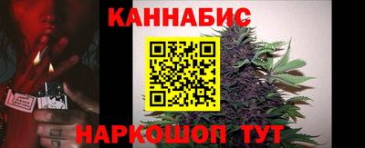 прущие крисы Краснознаменск