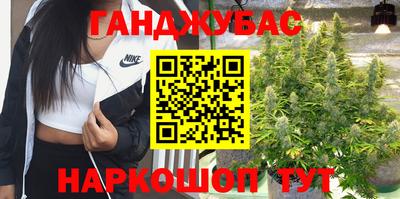 дмт Краснодар