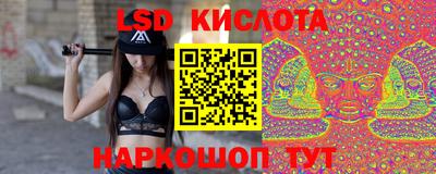 дмт Краснодар