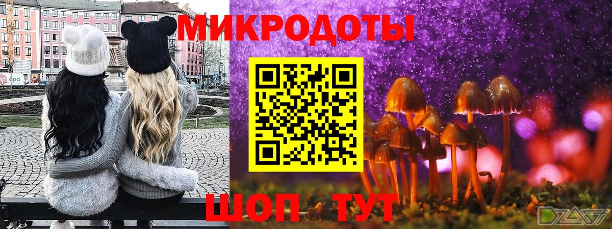 Жуковский  Псилоцибиновые грибы мухоморы  Псилоцибиновые грибы GOLDEN TEACHER  Вход с VPN 